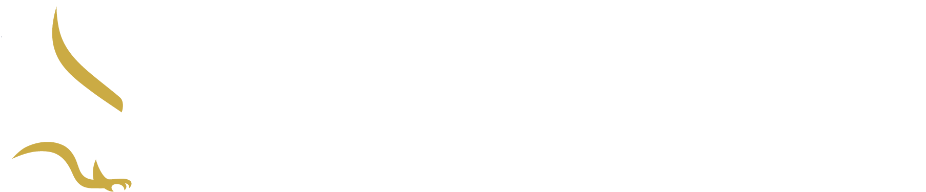 Tudor Gold Logo